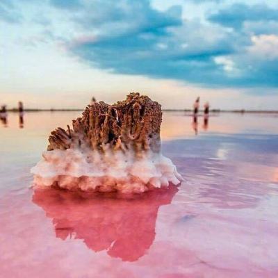 江湖九游版下载