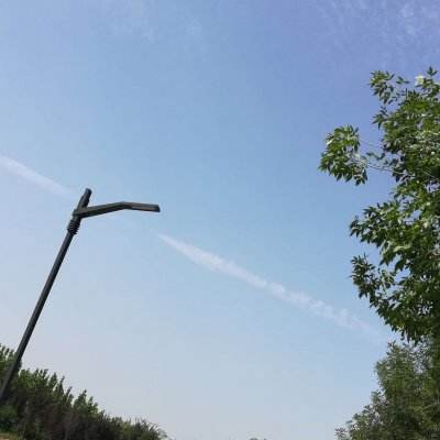 倩女手游助手app下载